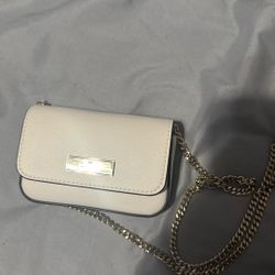 Mini Kate Spade Purse 