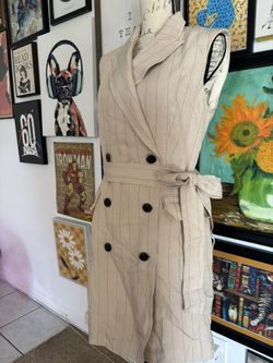 Pinstripe Trench Coat Style Dress