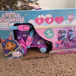 Trainer Roller Skates