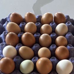 Eggs