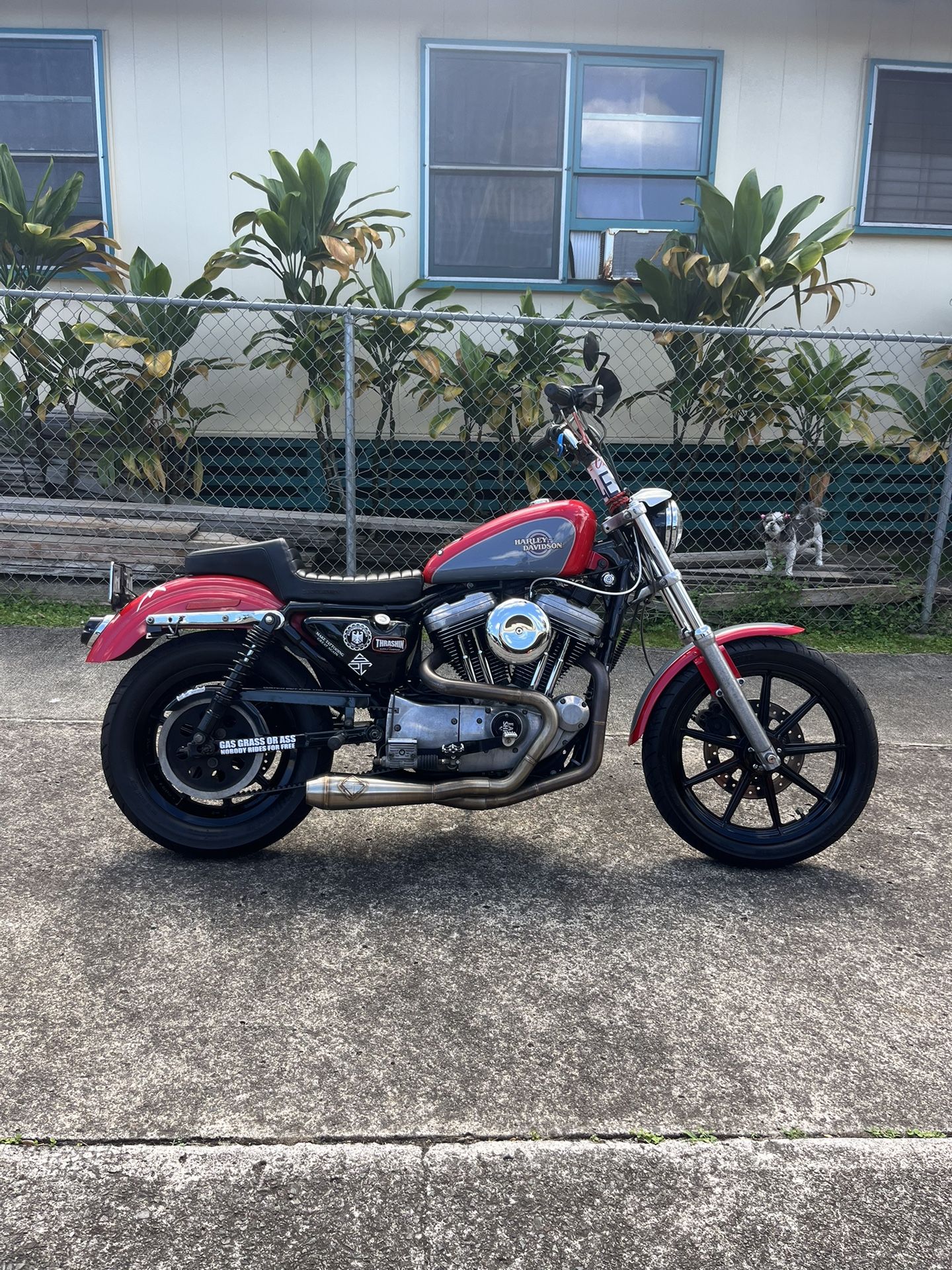 1998 Harley Davidson Sporster