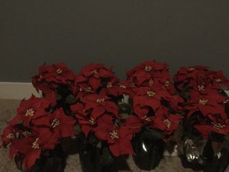 Set of 8 faux mistletoe potted plants