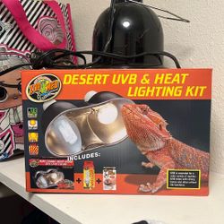 Lizard Enclosure Heat Lamps