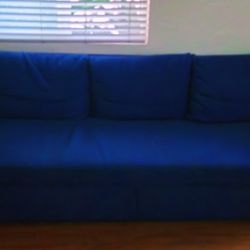 Friheten Sleeper Sofa (IKEA)