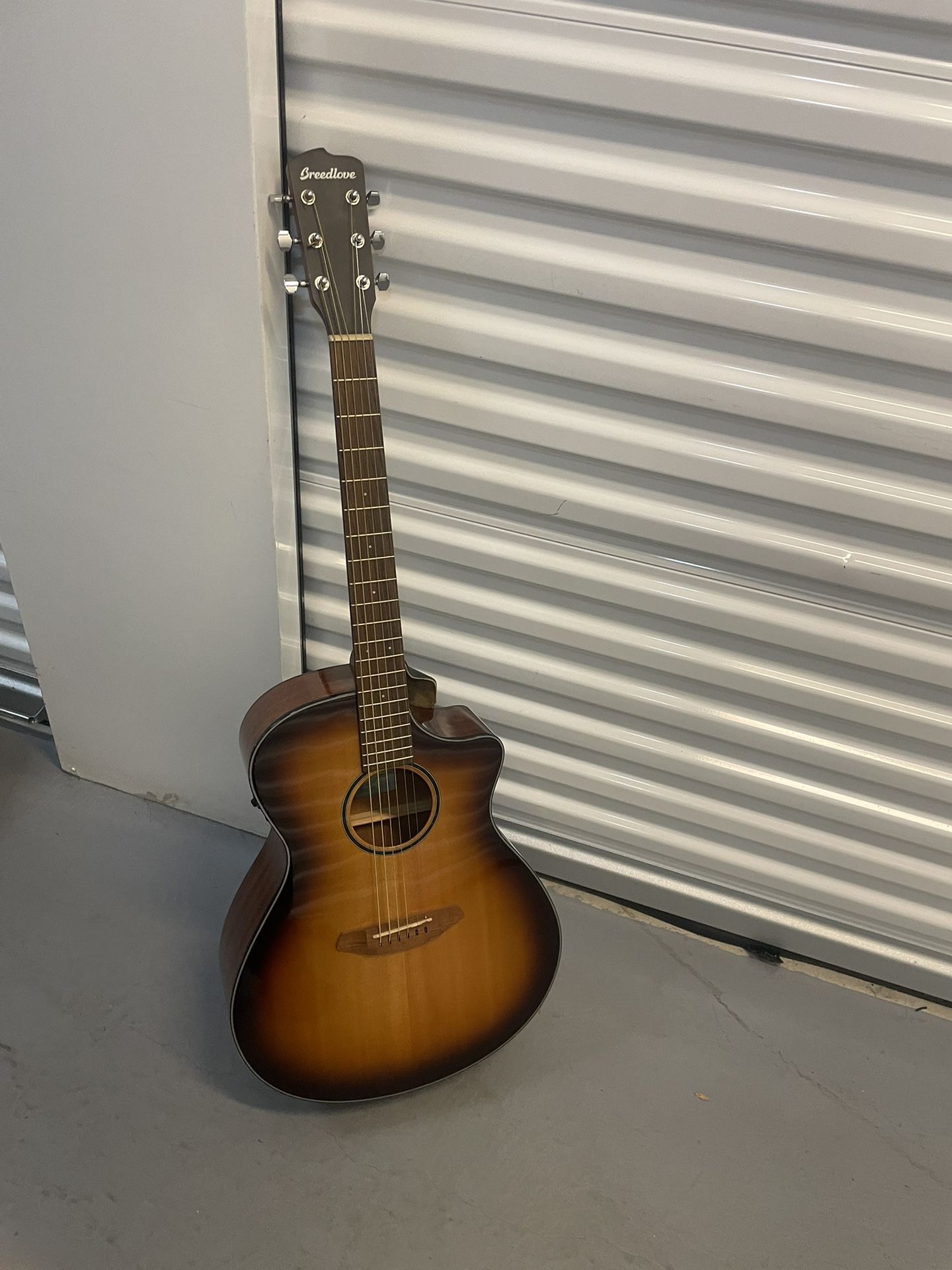 Breedlove Guitar