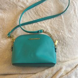 Steve Madden Bag