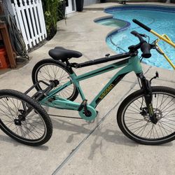 Adult Trike