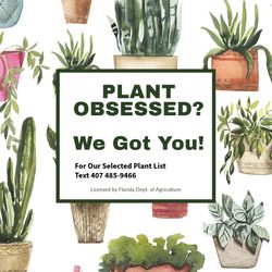 Friday–Saturday Plant Sale! 🌿 At Monique’s Garden Nursery ✨ Since 2017 