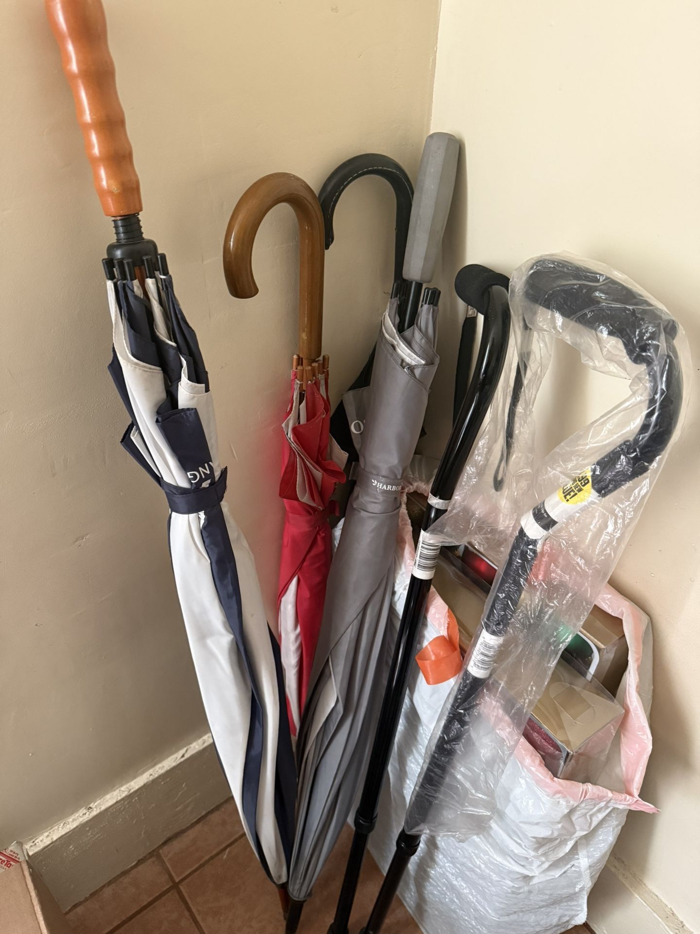 Canes And Umbrellas