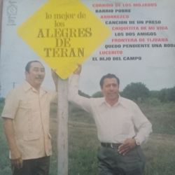 LOS ALEGRES DE TERAN VINYL LP