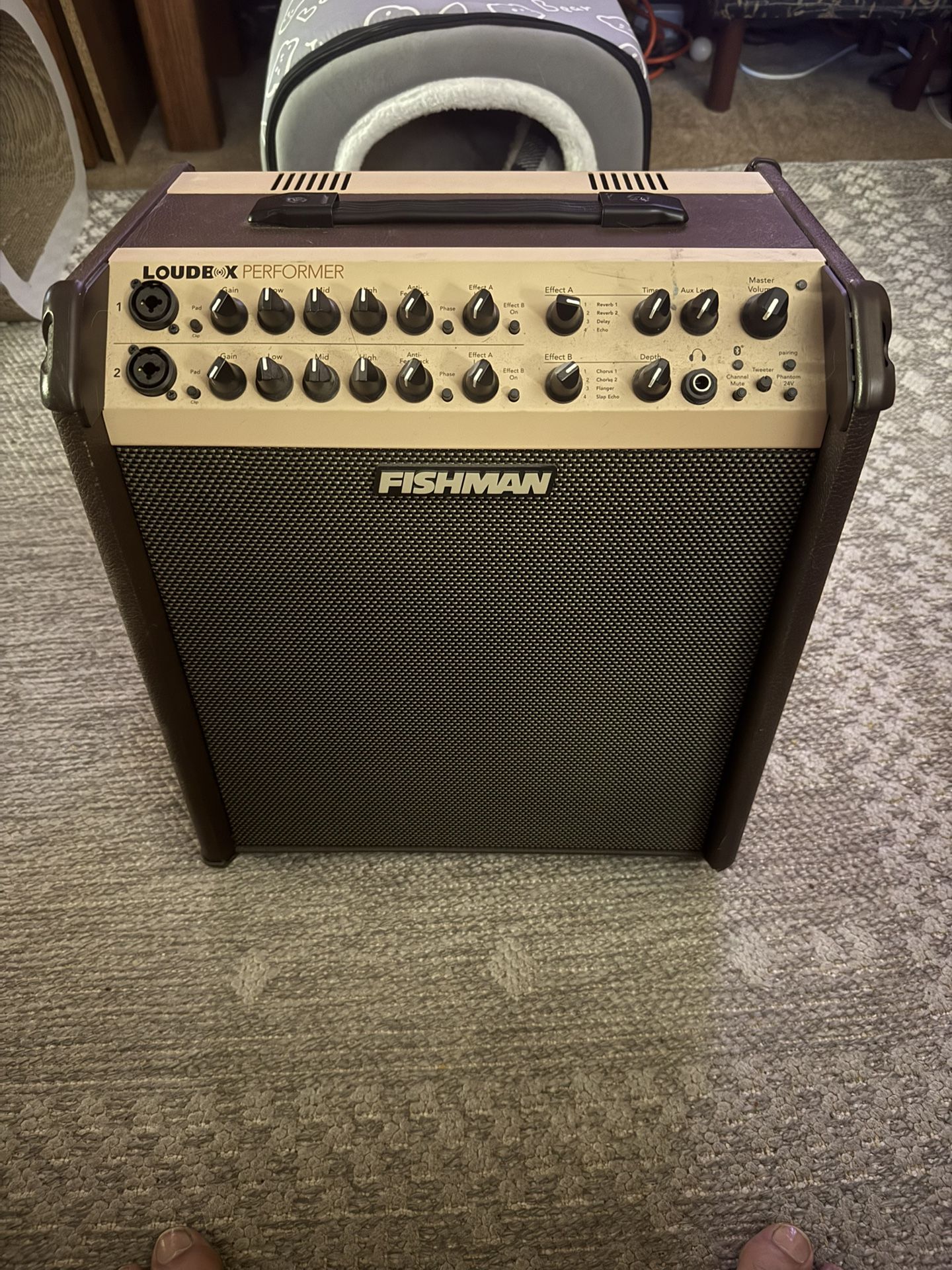 Fishman X performer Amp