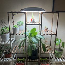Sun System Heliogrow 200W Plant Grow Light 