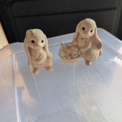 Bunnies
