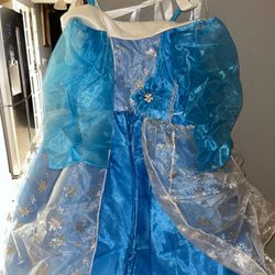 Elsa Costume/dress
