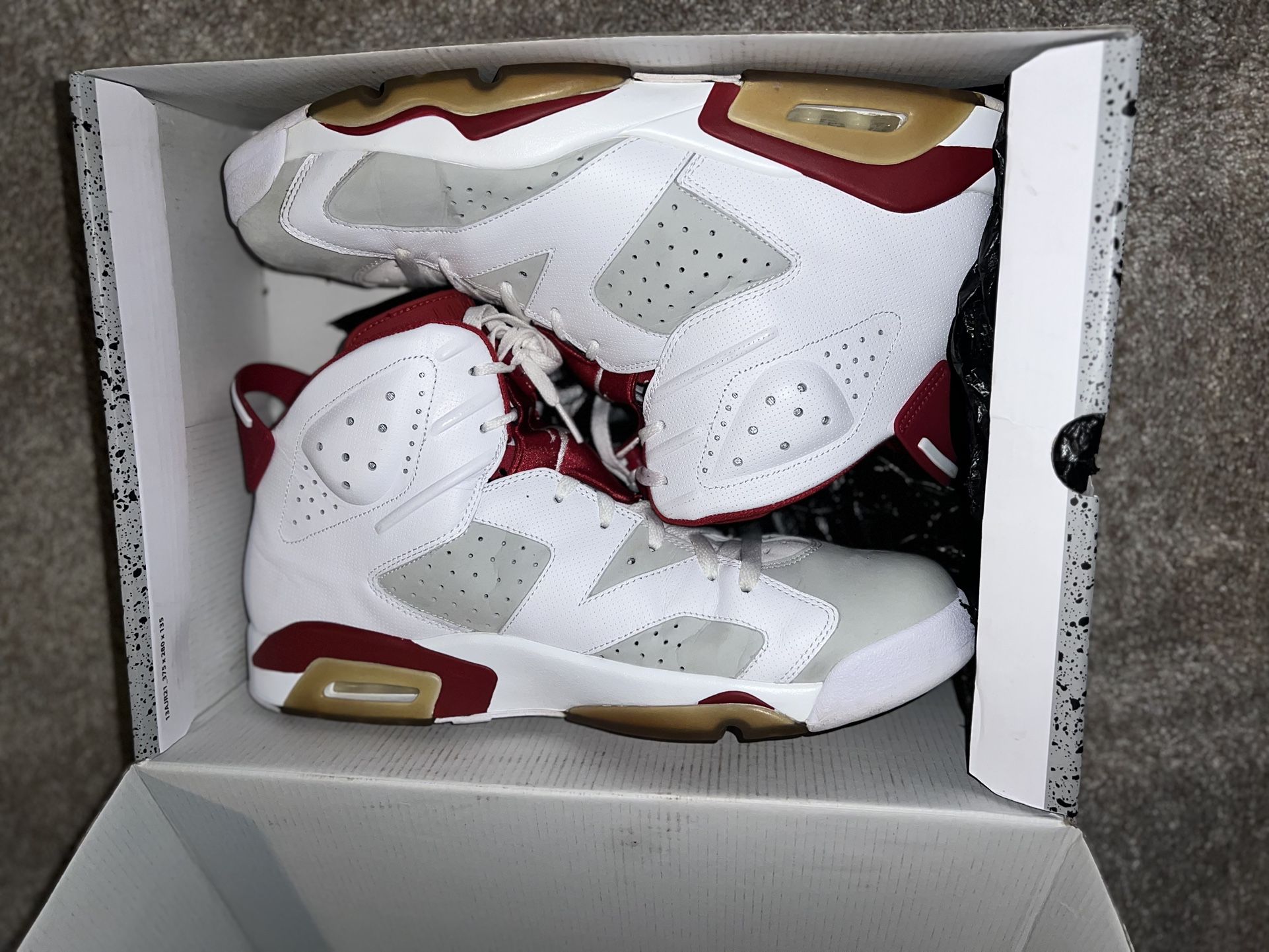 Men Size 15: Air Jordan 6 Retro Alternate