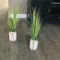 Artificial Plants 