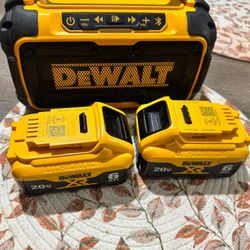 Dewalt Spiker 