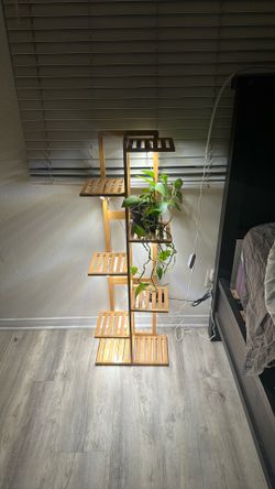 Plant stand