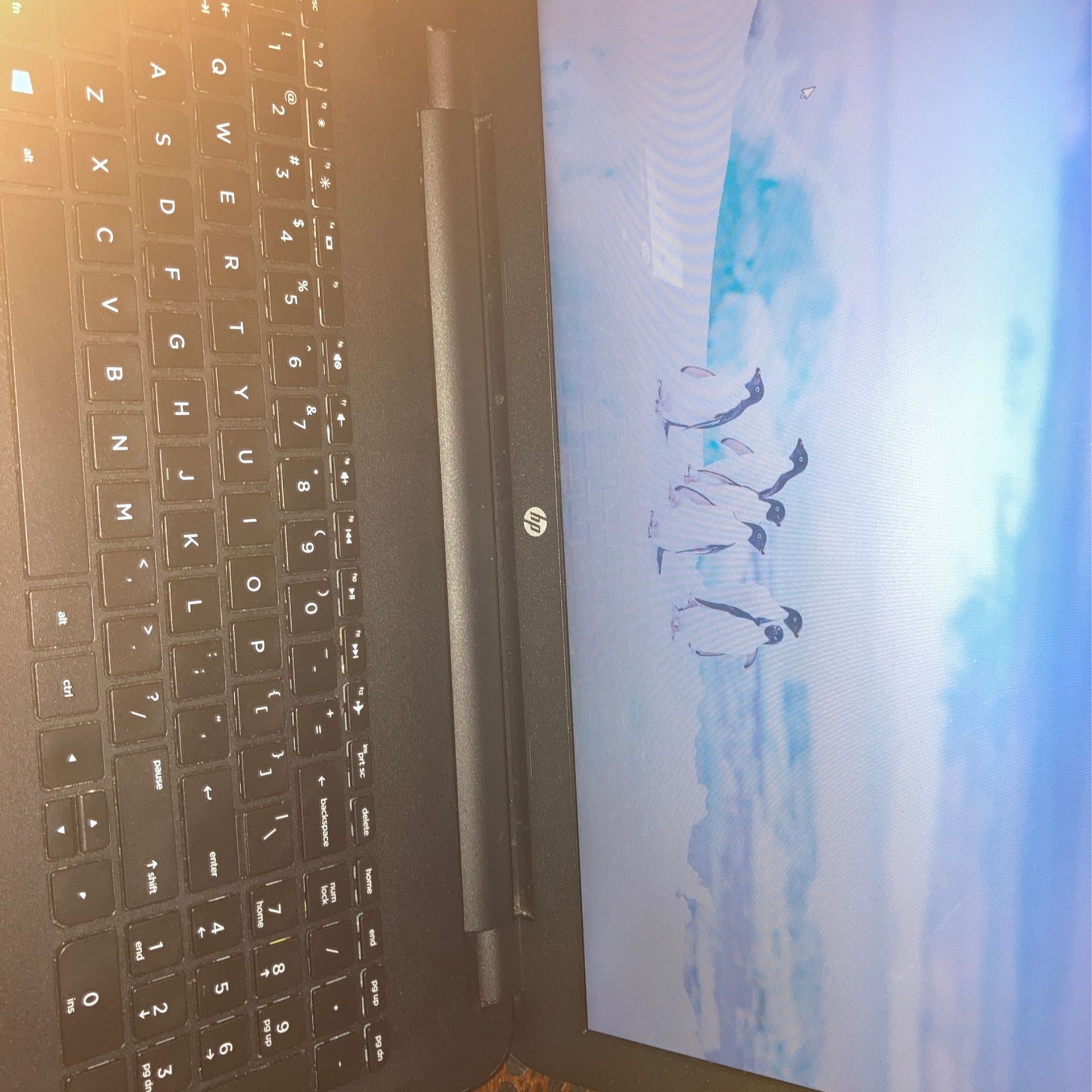 HP Notebook Laptop