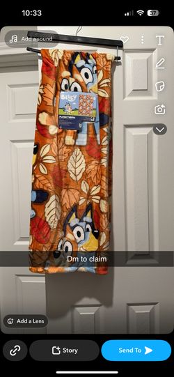 Bluey Blanket