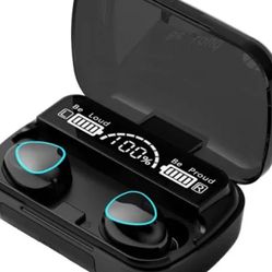Wireless earbuds?
