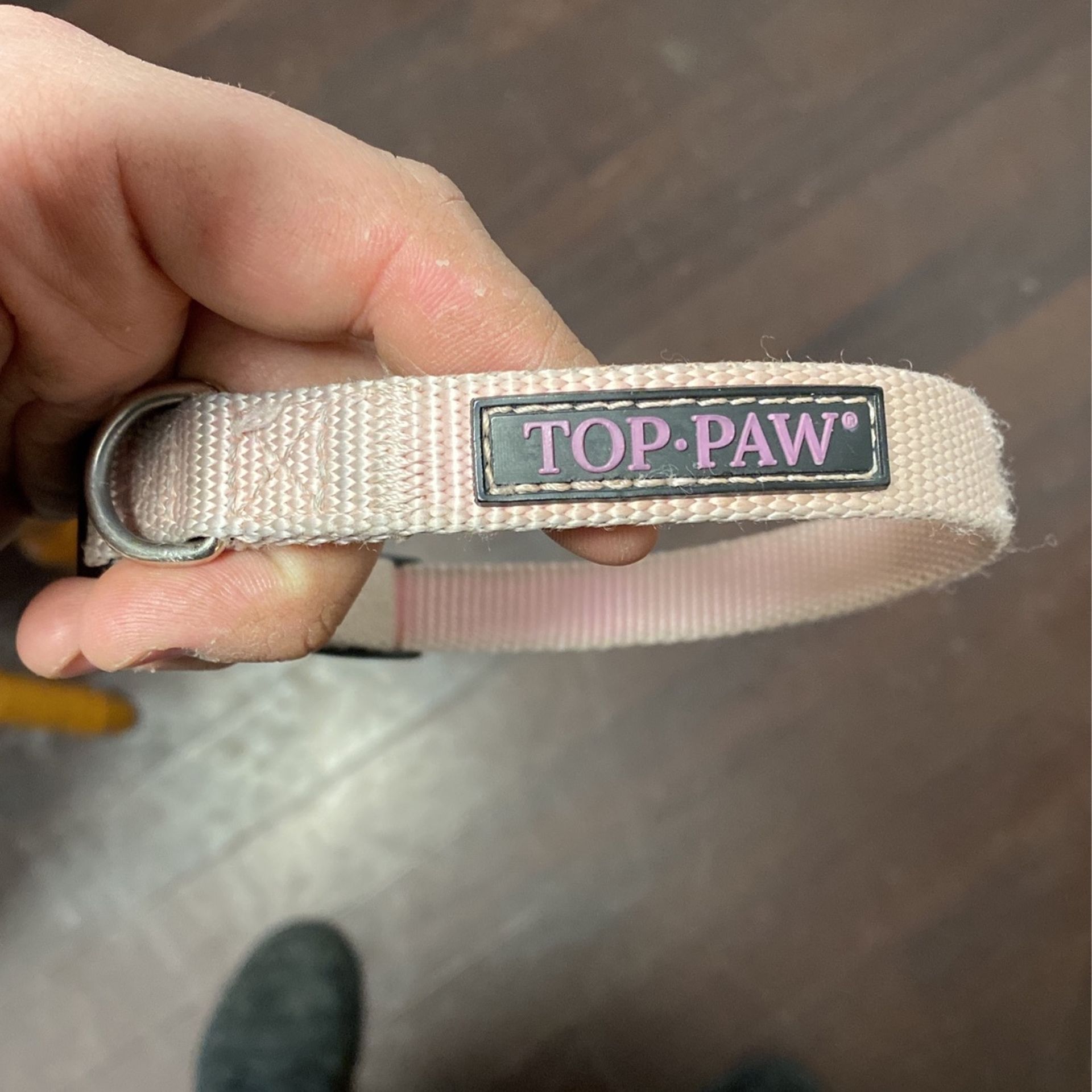 Female Puppy Collar Size Small