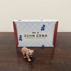 2025 Topps John Cena Commemorative Collection Single Box