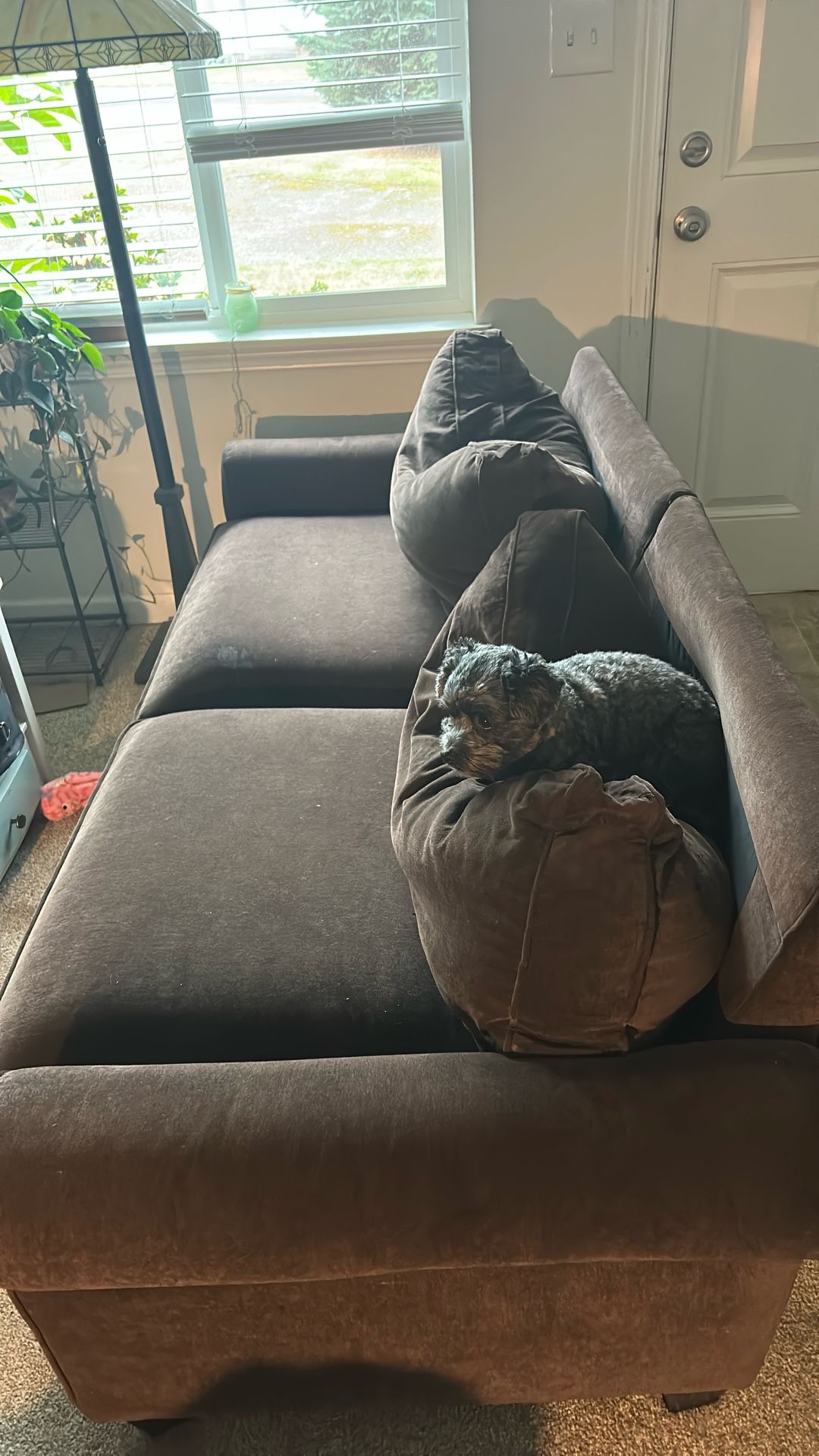 Free Couch