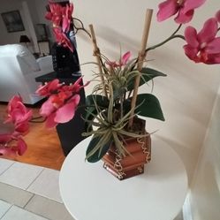 Flower And Wooden Pot