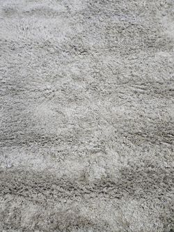 Shag rug