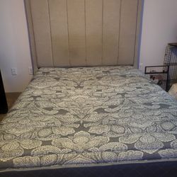 Queen Platform Bed 