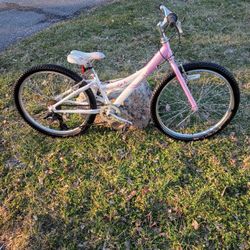 Trek 220 SUPER LOW PRICE READY TO RIDE 12 inch Frame 19 Inch Top Tube 24 Inch Stand Over 24 Inch Wheels 7 Speeds