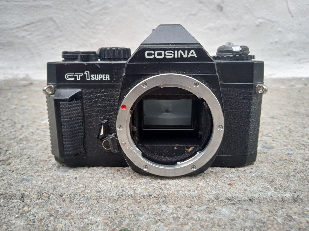 Film Camera Lot