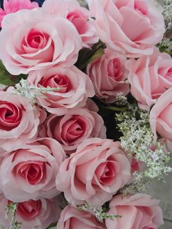 Pink Rose bunches/bushes