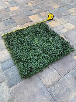 24  Pieces- 20"x 20" Artificial Boxwood Panels