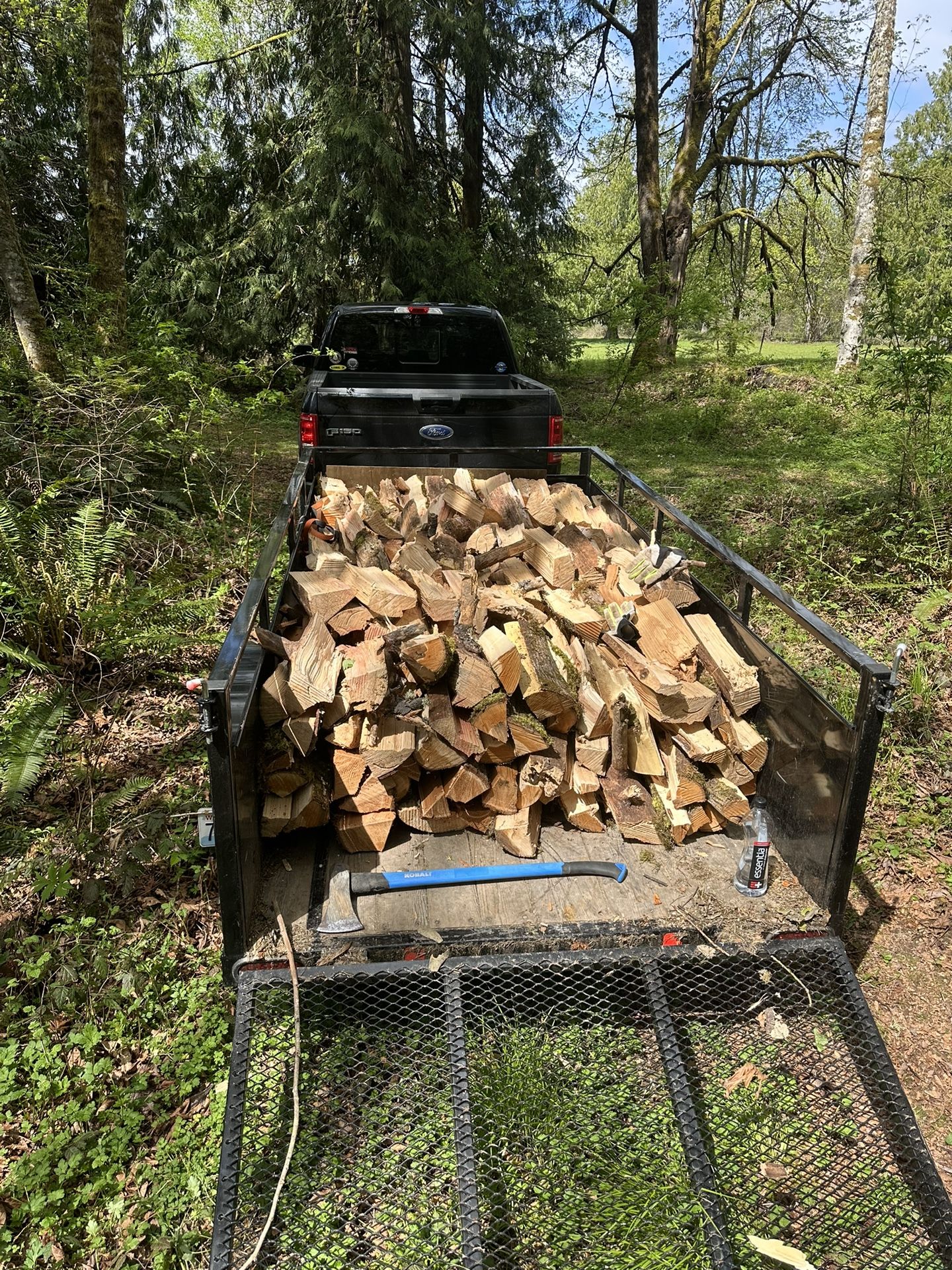 Firewood