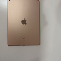 iPad Air 3
