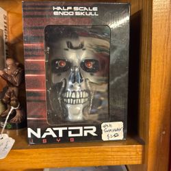Half Scale Endo Skull