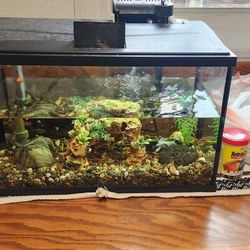 10 Gallon Fish Tank