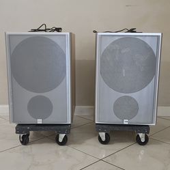 CANTON AS40 Beech Subwoofer 12in 200w Amp
