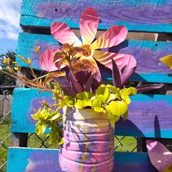 Bottle Plant,Mix Flowers