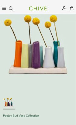 “Pooley” Art Bud Vase for Flowers 🌹