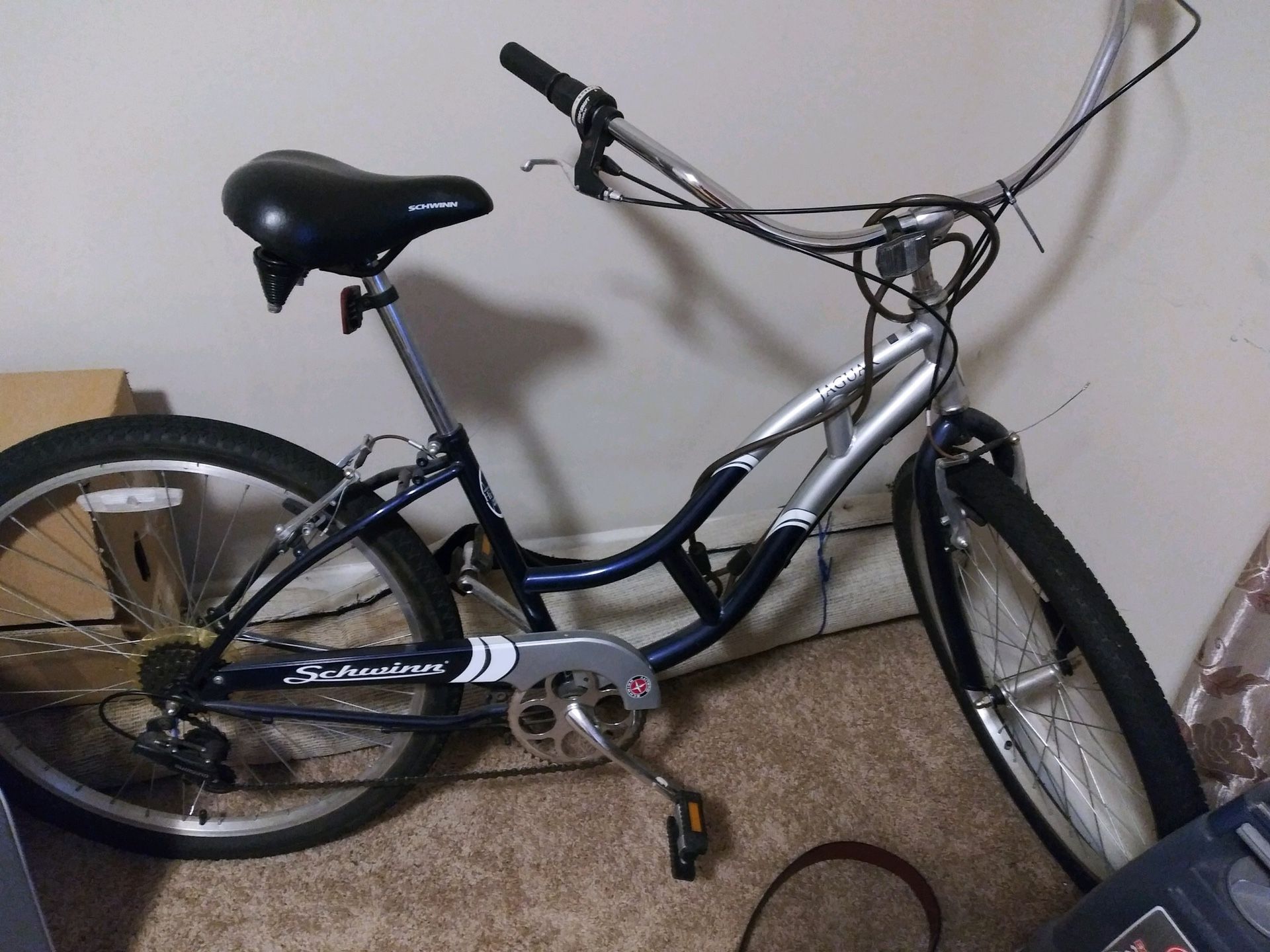 Schwinn bike