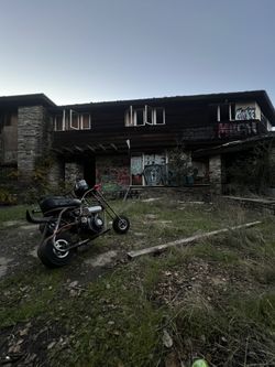 Skz Mini Bike