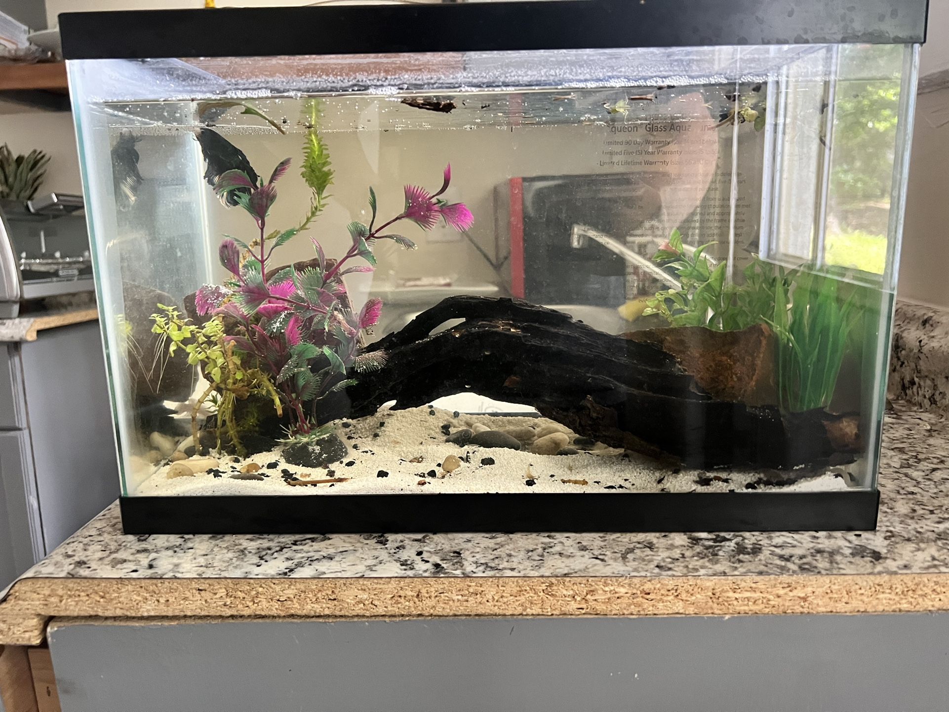 Aqueon 5 Gallon Aquarium.