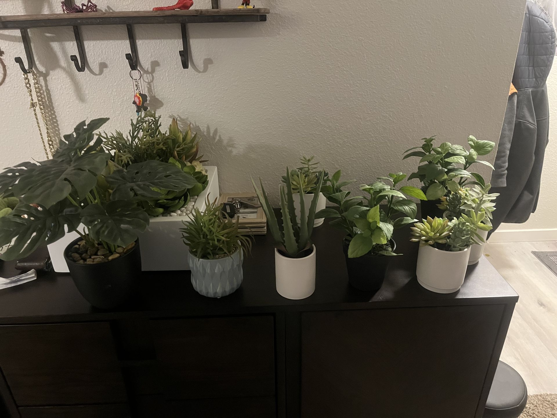 Artificial Plants / Decorations