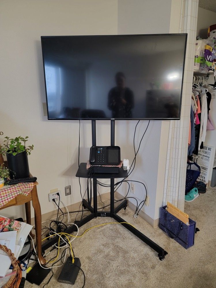 Vizio TV With Stand