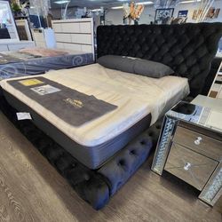 Queen /King Bed Frame Only