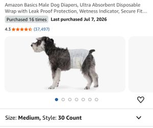 Dog diapers