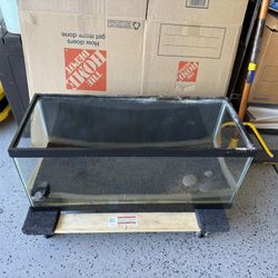 20 Gallon Fish Tank Aquarium